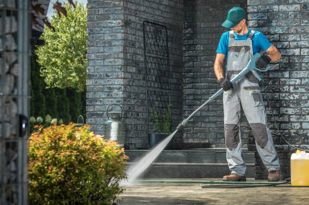Best Patio and Deck Pressure Washing  in Mayville, ND